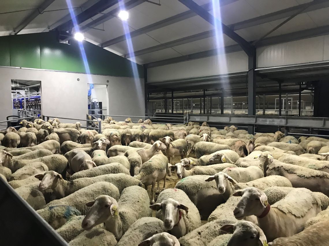 DELAVAL MILKING CENTER BY CONAGRO